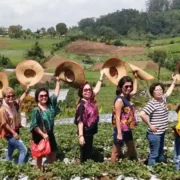 Medan Berastagi Tour Package 1 Hari Pengalaman Unik!