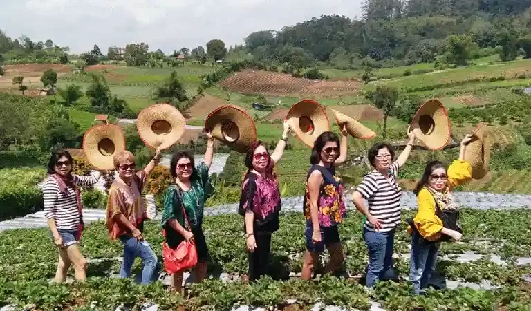 Medan Berastagi Tour Package 1 Hari Pengalaman Unik!