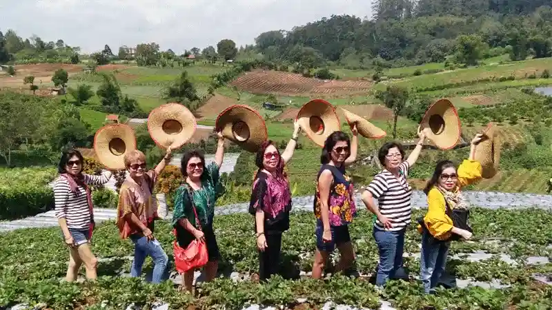 Medan Berastagi Tour Package 1 Hari Pengalaman Unik!